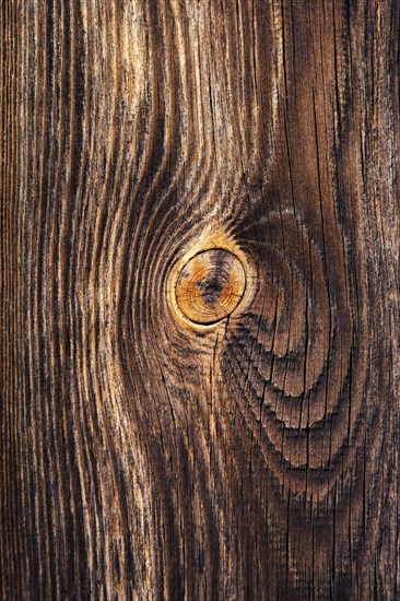 Weathered wood with knothole