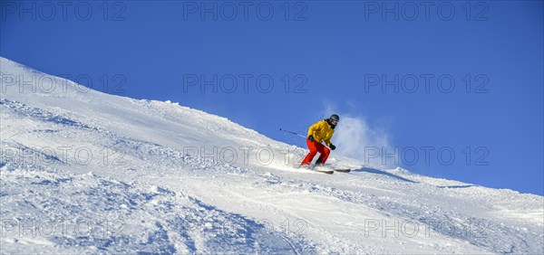 Skier