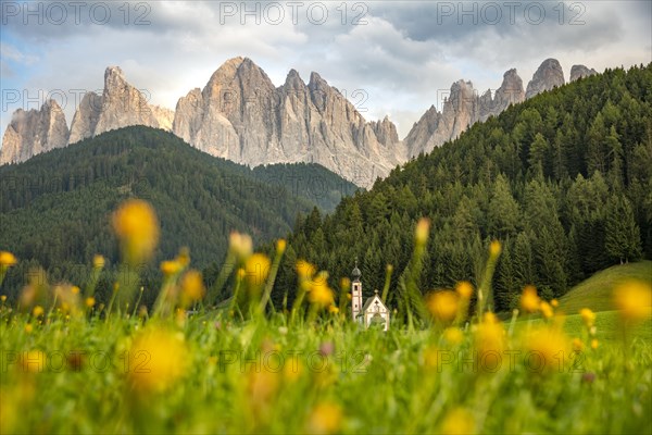 Church of St. John in Ranui with flower meadow