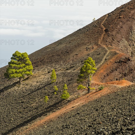 Hiking trail at the volcano Martin