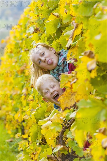 Boy and girl looking through a row of vines