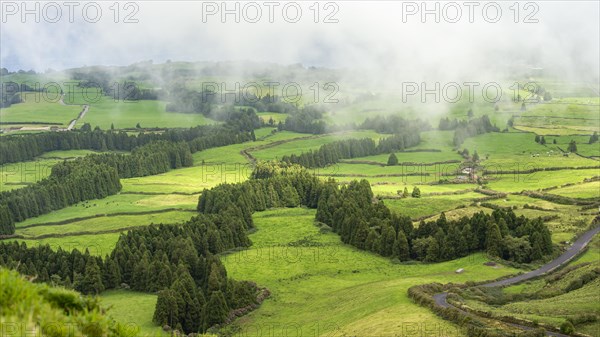 Strips of woodland cross green landscape