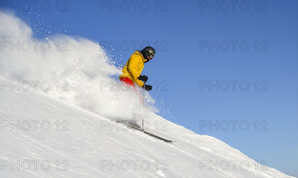 Skier