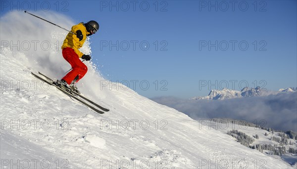 Skier