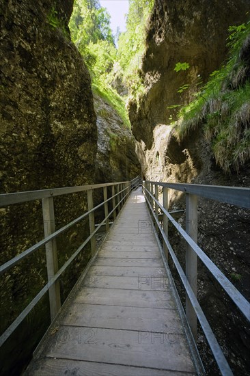 Gorge of the Almbach Gorge