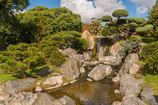 Jardin Japones