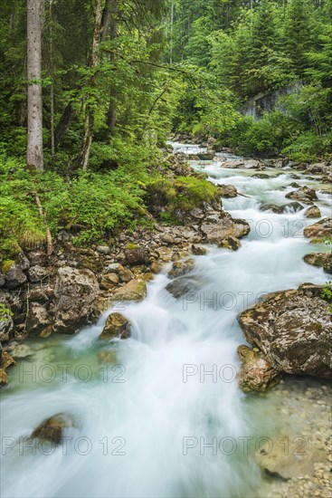 Mountain stream Ramsauer Ache in the enchanted forest