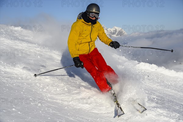 Skier