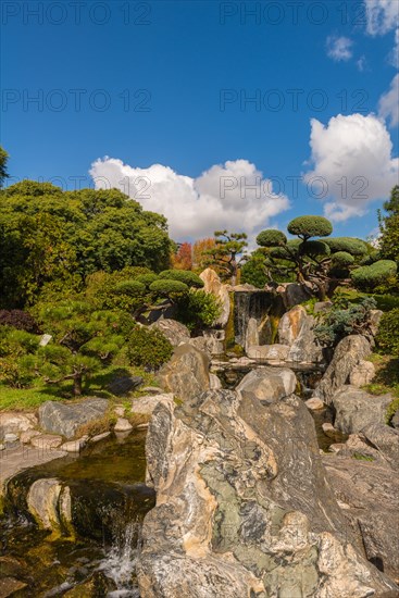 Jardin Japones