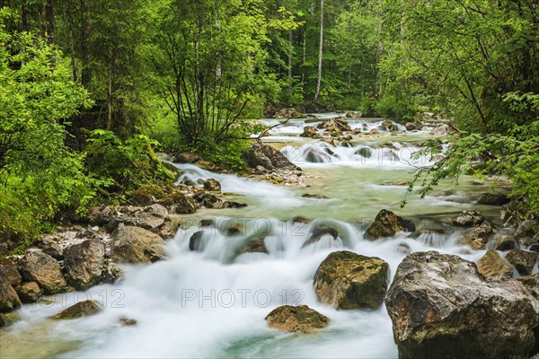 Mountain stream Ramsauer Ache in the enchanted forest