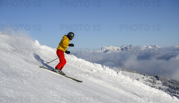 Skier