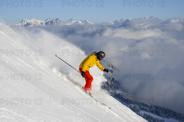 Skier