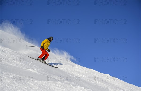 Skier