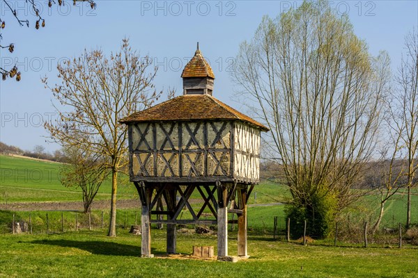 Typical dovecote in Allier department