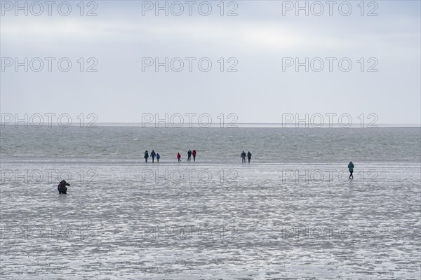 Hiker at low tide in the mudflats