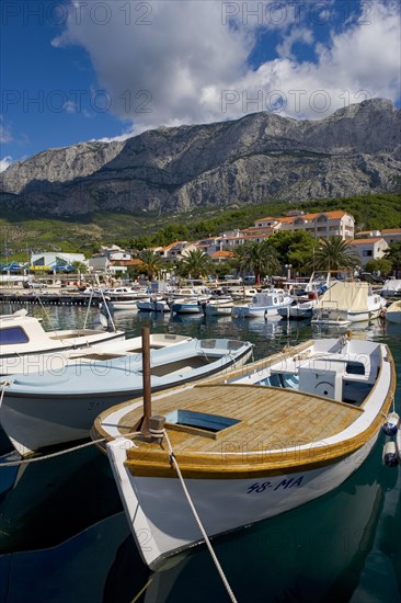 Fishing boats in port