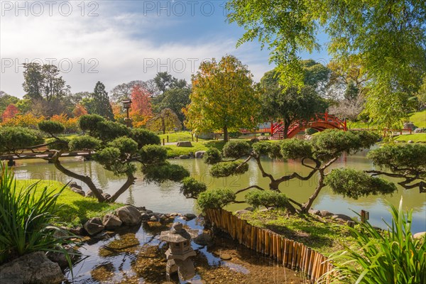 Jardin Japones