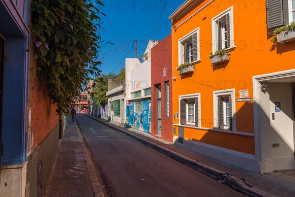 Colorful painted houses