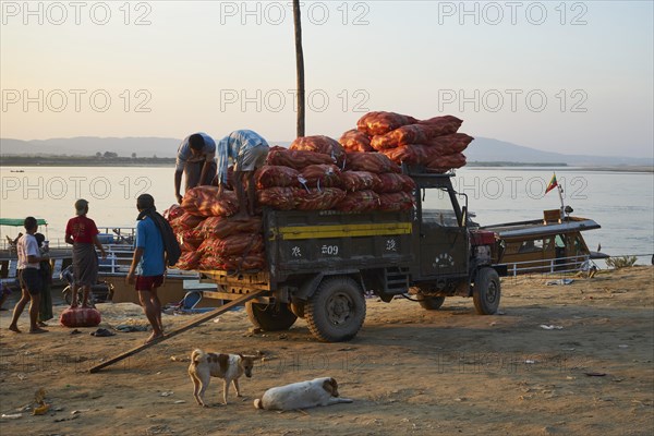 Loading bags of maize