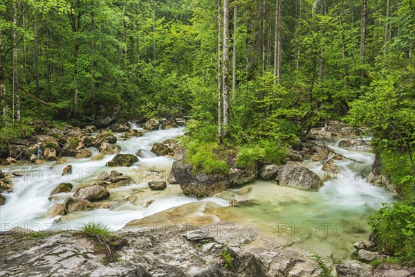 Mountain stream Ramsauer Ache in the enchanted forest