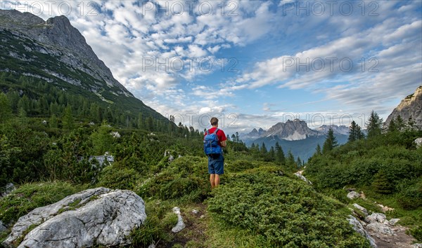 Hikers on a hiking trail