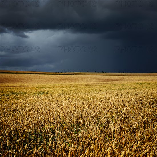 Approaching thunderstorm