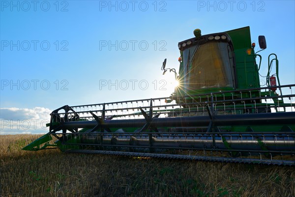 Combine harvester in the stubble field