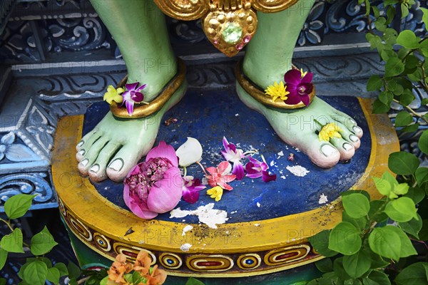 Lotus flowers are laid at the feet of the god Krishna