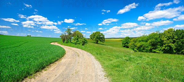 Field path through cultivated landscape in spring