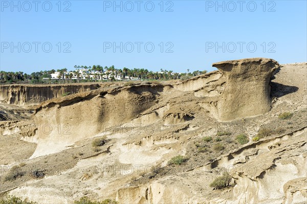 Environmental Reserve San Blas