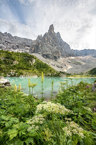 Turquoise-green Sorapis lake with flowers