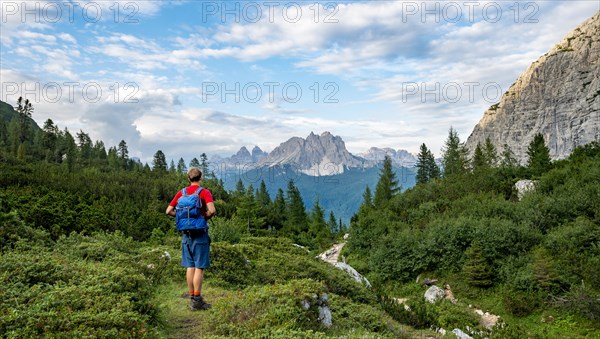 Hikers on a hiking trail