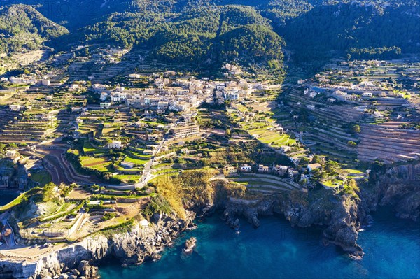 Terraced fields in Banyalbufar