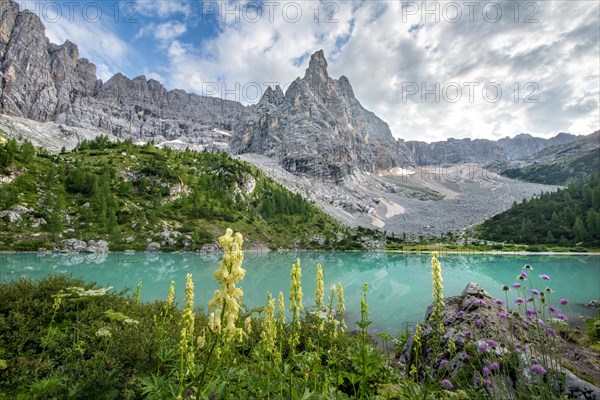 Turquoise-green Sorapis lake with flowers