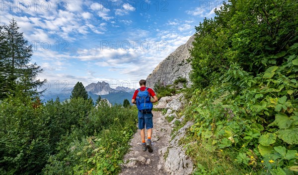 Hikers on a hiking trail