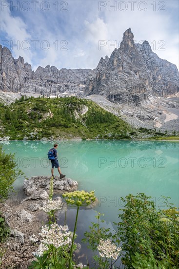 Young man hiker at the turquoise-green Sorapis lake with flowers