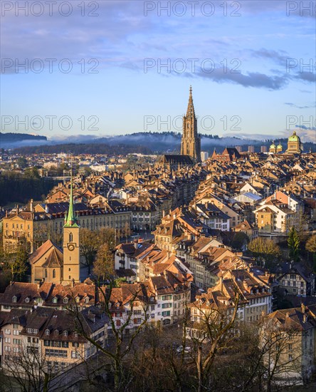 City view in the morning light