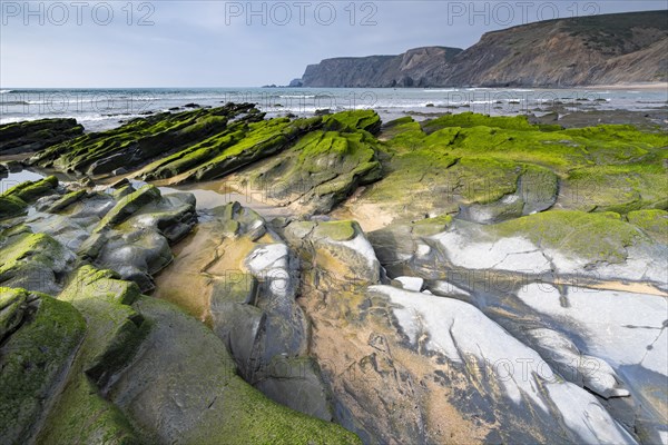 Green overgrown diagonally layered stones on the Atlantic coast