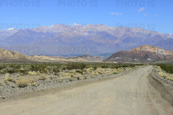 Gravel road through the park