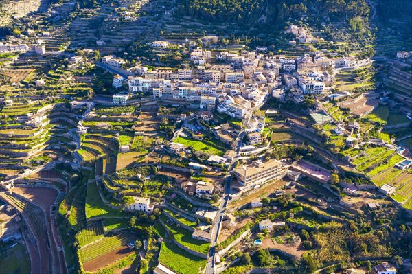 Terraced fields in Banyalbufar