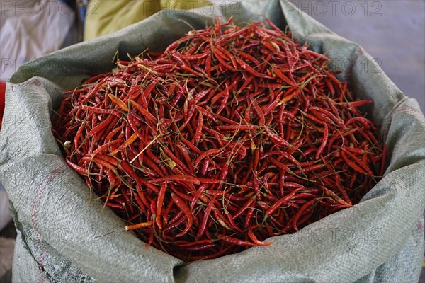 Red chili