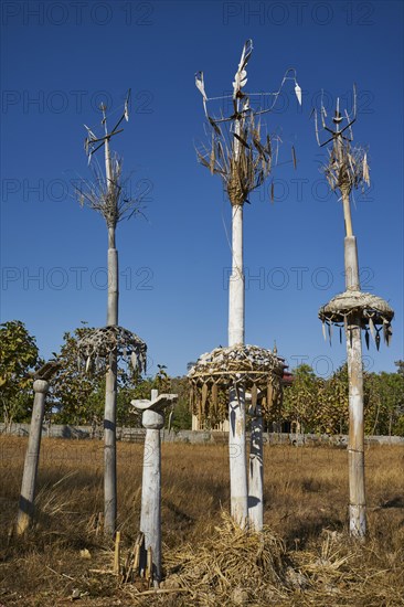 Animist totem poles