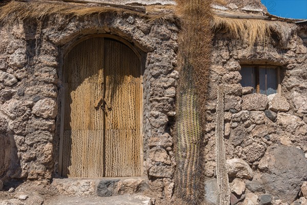 Door made of cactus wood