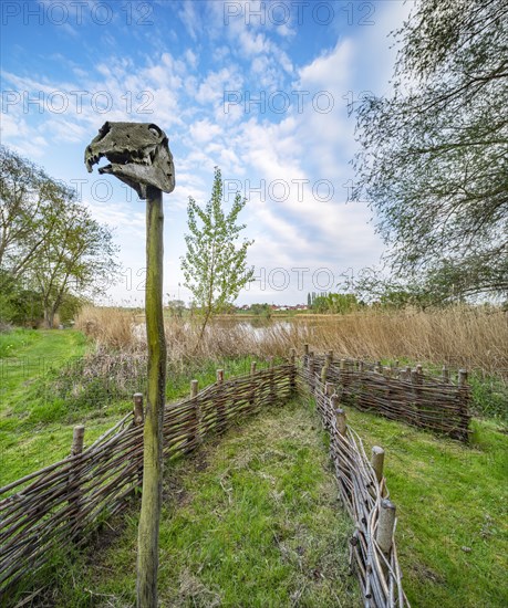 Sacrificial moor Niederdorla