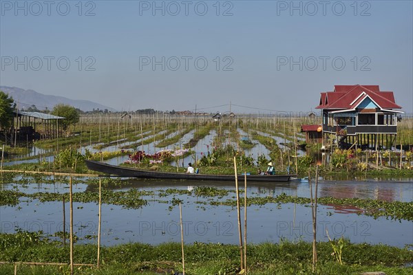 Floating gardens on Inle Lake