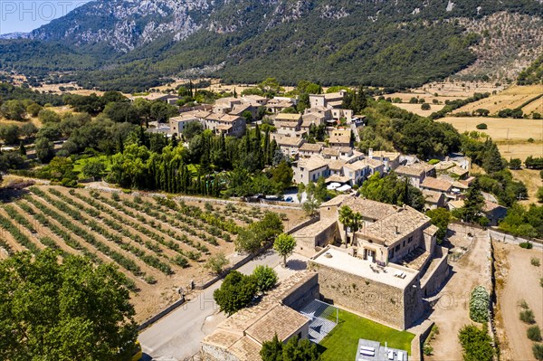 Aerial view of the Oriental Village