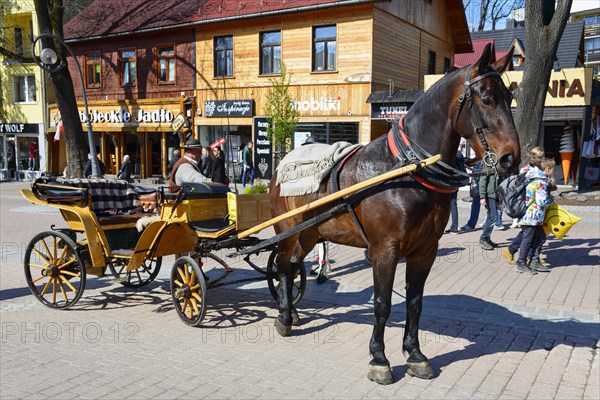 Horse-drawn carriage in the pedestrian zone and promenade Krupowki