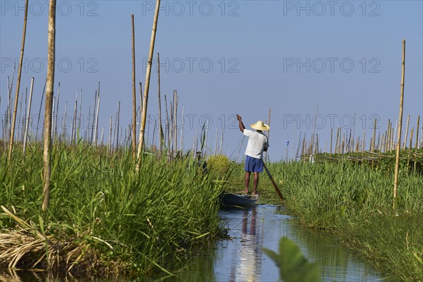 Man standing in a boat and rowing