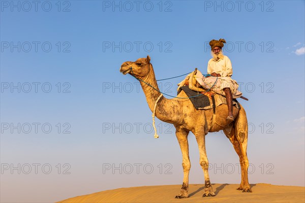 An old man with his dromedary