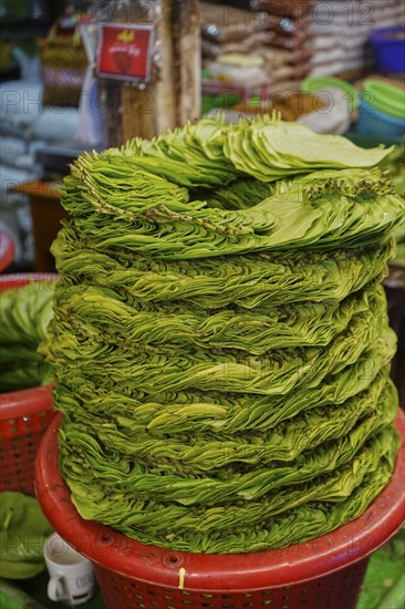 Leaves of Betel (Piper betle) Thiri Mingalar Market